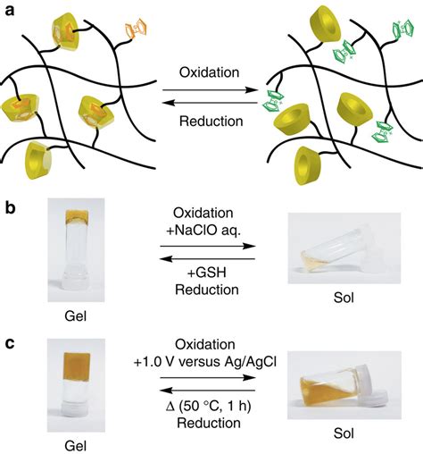 Redox-responsive sol−gel transition experiment.(a) Schematic ...