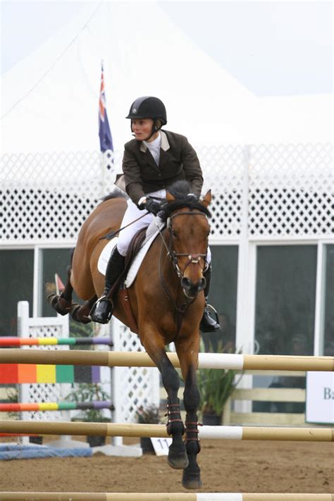 Bay Warmblod Show Jumping Pebble Beach By Horsestockphotos On Deviantart