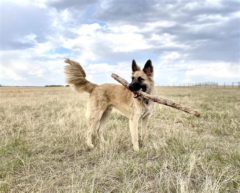 871 best Big Stick images on Pholder | History Memes, Aww and Bigboye