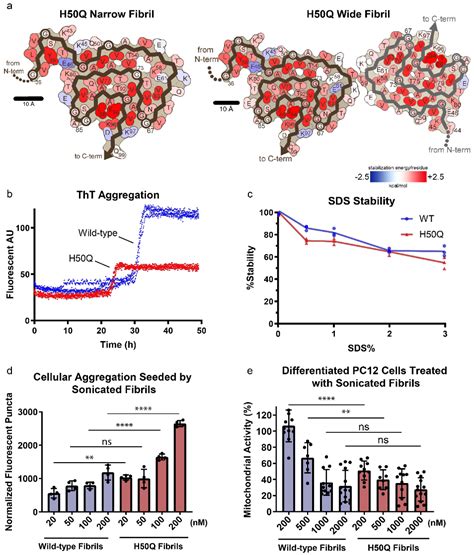 Open Access Cryo Em Structures Of Alpha Synuclein Fibrils With The