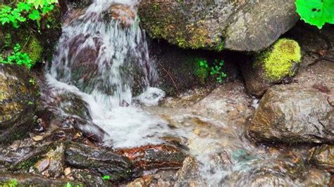 Stream Pause Stock Video Footage For Free Download