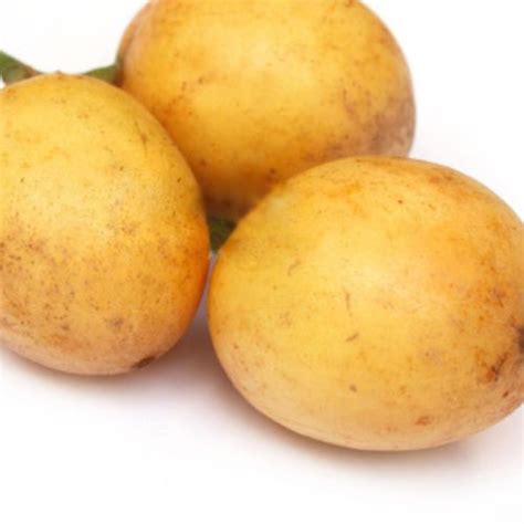 Burmese Fruit Plantexotic Fruit Plants In Kerala Buy Now