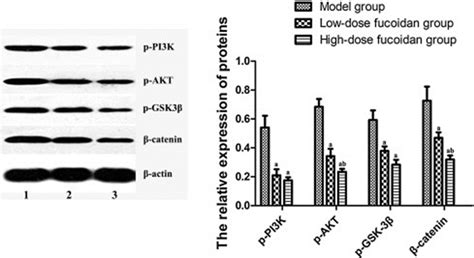 Fucoidan Induces Apoptosis In Triple Negative Breast Cancer Cells