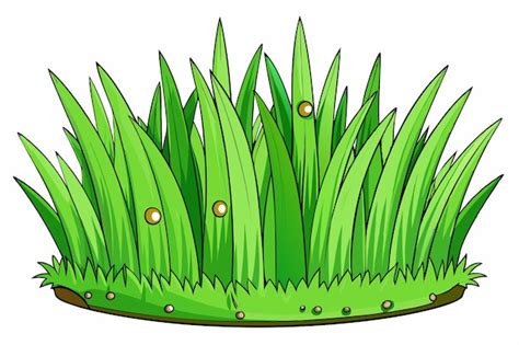 Grama Verde Desenho Imagens Download Grátis No Freepik