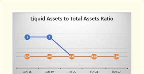 The Hidden Asset Ratio