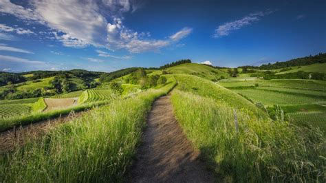 Российский фотобанк бесплатных фотографий - PerfectStock