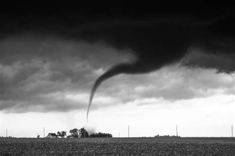 Snake Tornado Pecos Hank