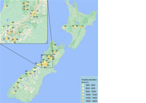 Modern Treeline Distribution In New Zealand Treeline Elevation In New