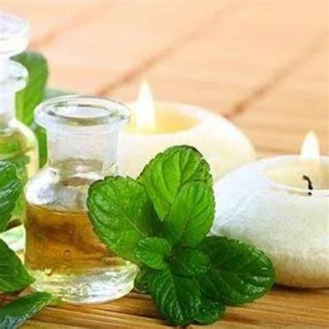 Jual Peppermint Oil Oleum Mentha Pip Minyak Permen 250ml Shopee