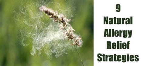 9 Natural Allergy Relief Strategies – | Baby Gizmo