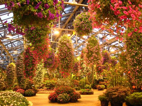 Victoria In Japan Land: Nabana No Sato