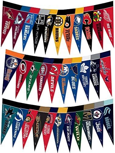Rico Industries Nhl Hockey 4 X 9 Felt Mini Pennant League