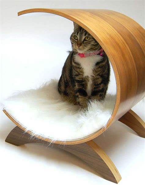 Outrageous Pet Furniture