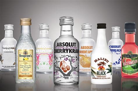 Mini Size Vodka Bottle - Best Pictures and Decription Forwardset.Com