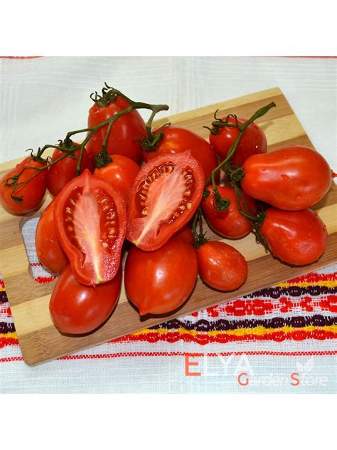 Томат Ракета в магазине Elya Garden - Семена