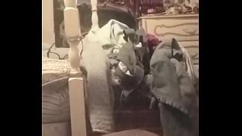 Using A Deodorant Can N A Coke Bottle To Fuck Myself In My Ass Pussy