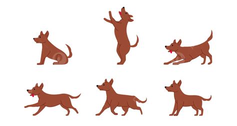 Perro Mestizo Ordinario Varias Poses Gráfico De Línea Plana Aislado Png