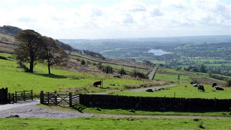 The Staffordshire Moorlands Near Leek Stock Photo Image Of England