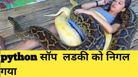 Python Vs Anaconda पूरी लडाई कैान जीतता है Youtube