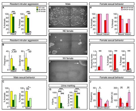 Estrogen Masculinizes Neural Pathways And Sex Specific Behaviors Pmc