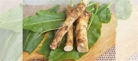 Корень хрена купить в Старом Осколе | Товары для дома и дачи | Авито