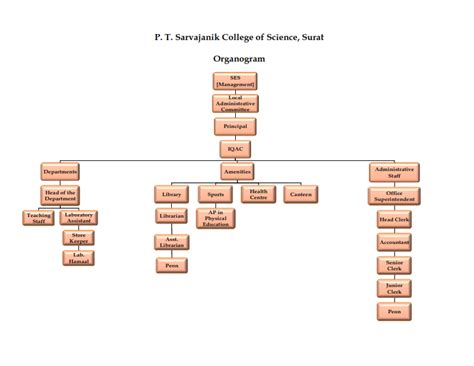University Organogram