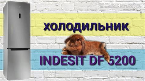 Обзор холодильника INDESIT DF 5200. Честный отзыв. - YouTube