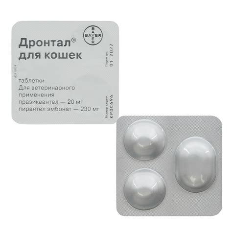 Дронтал для кошек инструкция по применению, цена, отзывы