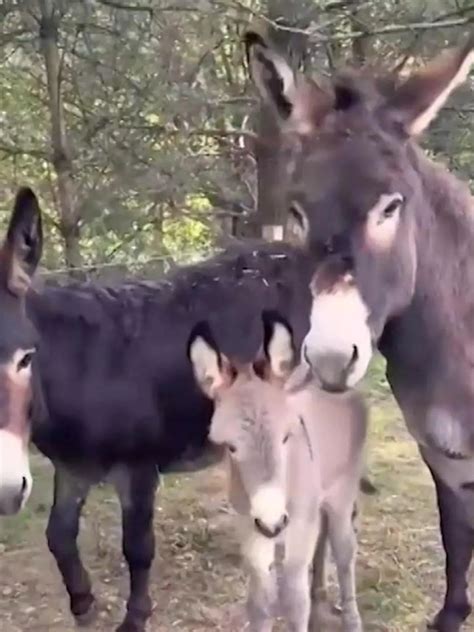 Ein Sex Marathon reicht ihr nicht Pornostar lässt Männer der Reihe nach kommen