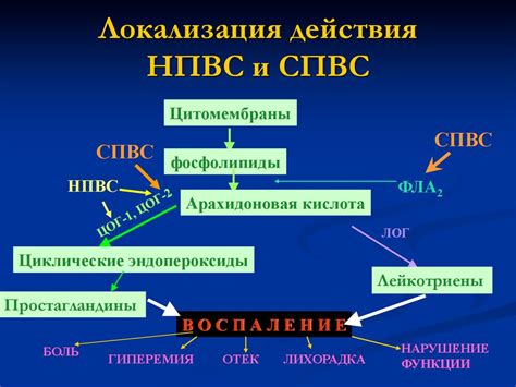 Противовоспалительные средства (ПВС) - презентация онлайн