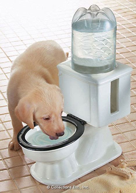 Strange And Clever Toilets 14 Of The Best Seats In The House Urbanist