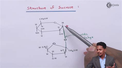 Chemical Structure Of Sucrose