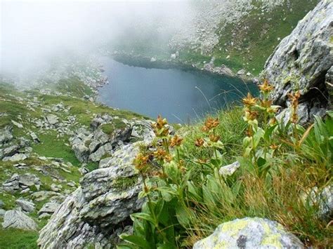 Sara National Park – Sar Planina Mountain