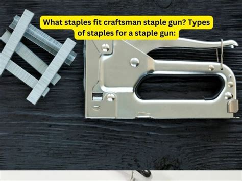 What Staples Fit Craftsman Staple Gun Types Of Staples