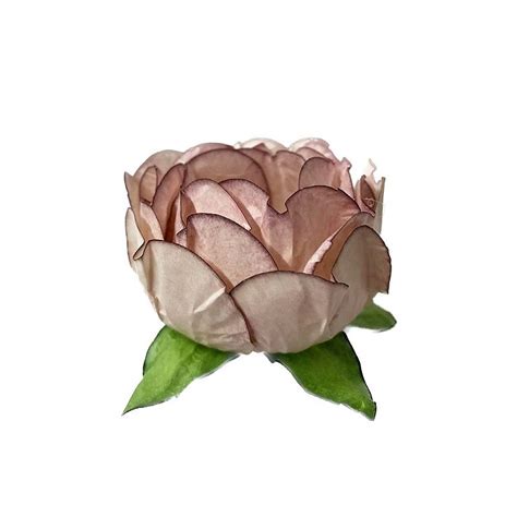 Forminha Bela Decora Doces Nude Para Doces uni Lembrança Chique