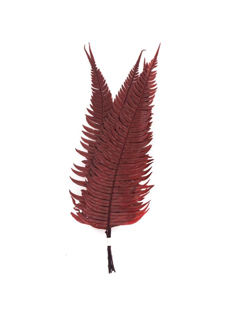 Commuter Guide and Station Amenities at Fern Rock Transit Center 3