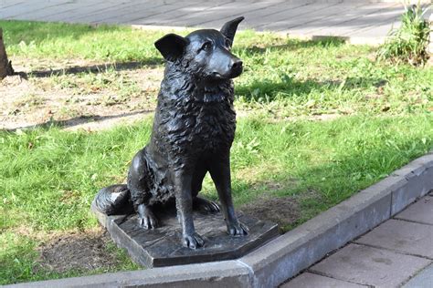 В Савелках появилась скульптура собаки Мухи