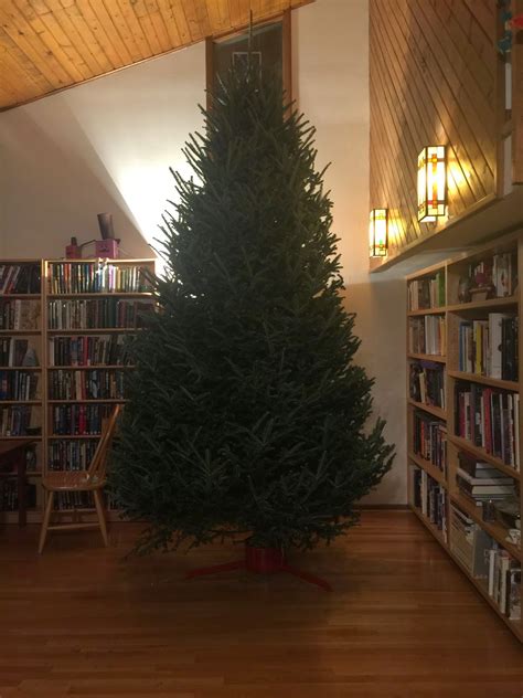 Mark S Journal This Year S Christmas Tree Naked And Dressed