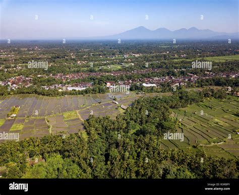 Indonesia Bali Ubud Aerial View Of Rice Fields Stock Photo Alamy