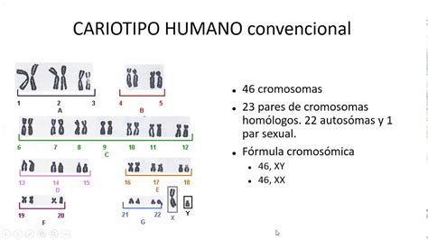 Anomalías Cromosómicas Estructurales