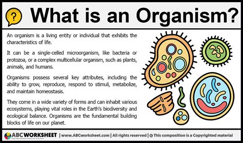 What is an Organism | Definition of Organism