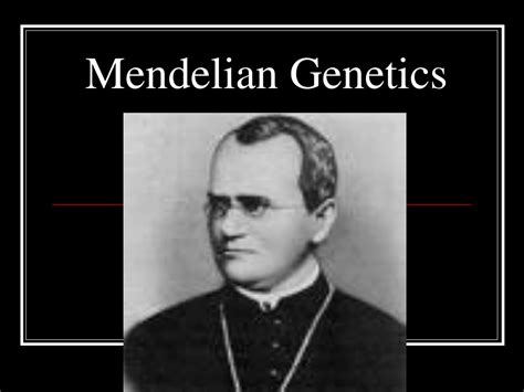Ppt Mendelian Genetics Powerpoint Presentation Free Download Id