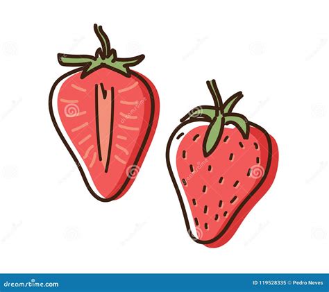 Strawberry Outline Illustration With Watercolor Effect Vector Doodle