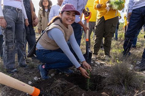 Se Cumpli La Meta De Reforestar Hect Reas En La Naci N Chocho