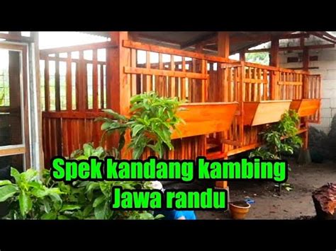 Spek Kandang Kambing Ideal Untuk Pemula 6x1 5meter Klaten 62 882 3919