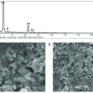 A Typical EDX spectrum B SEM micrographs at 1 µm and C SEM