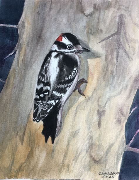 DOWNY WOODPECKER Watercolor Paintings Painting Watercolor