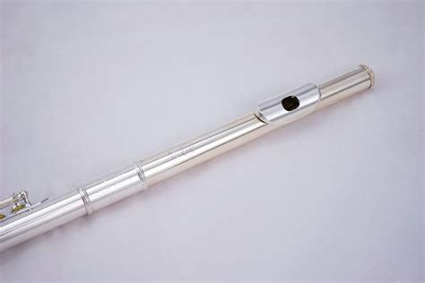 Flauto traverso Tomasi TFL-10S-SIB | Flauto traverso, Musik, Flauto