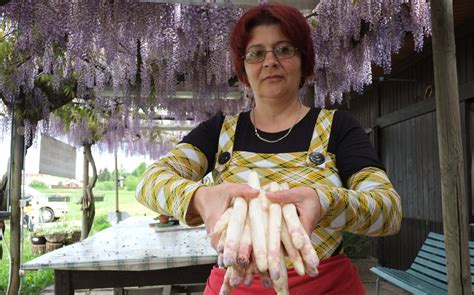 Sagra DellAsparago Rosa Tutto Pronto A Mezzago