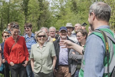 Plans For Quarry Beside Abbeyleix Bog Put On Hold Climate Change